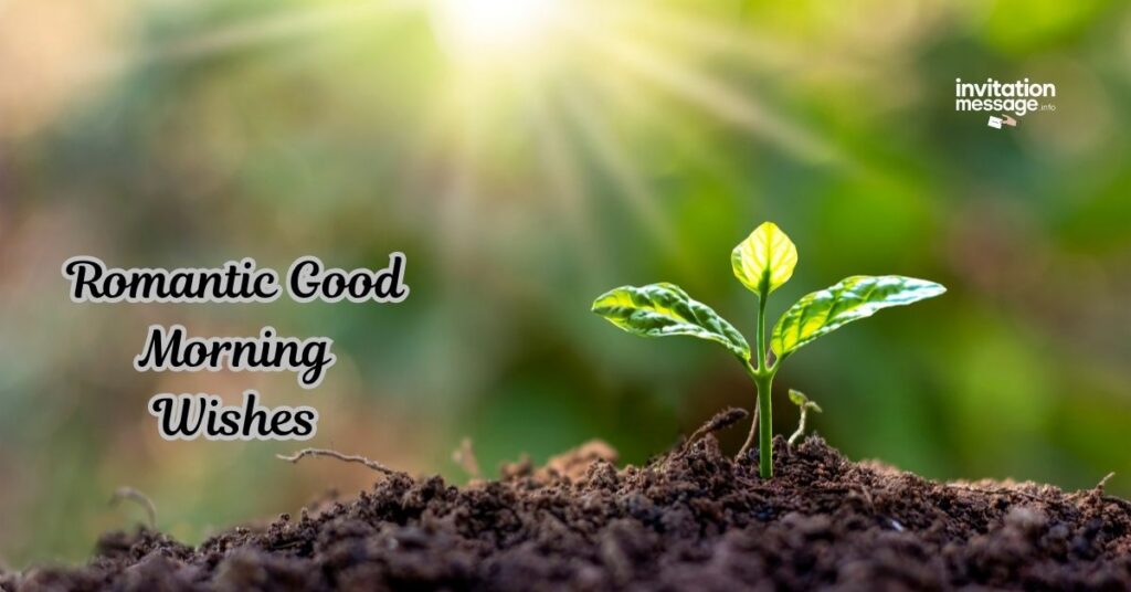 Romantic Good Morning Wishes